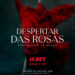 Aniversário: Rosa de Fogo Cia de Dança leva aos palcos espetáculo “Despertar das Rosas”