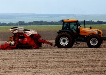 Safra de soja deve crescer 2,5% em área e produção pode saltar mais de 40%