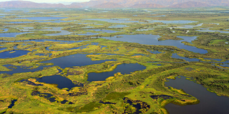 Movimenta Pantanal reúne parceiros para revisar critérios de sustentabilidade em econegócios