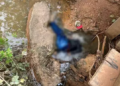 Homem de 45 anos é encontrado morto em baixo de ponte, às margens de rio