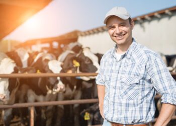 Encontro de trabalhadores e gestores do campo discute liderança e produtividade na pecuária em MS