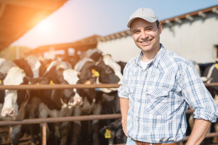 Encontro de trabalhadores e gestores do campo discute liderança e produtividade na pecuária em MS