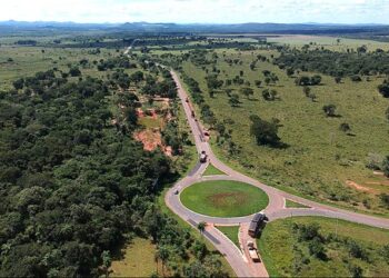 Estrada Viva: Em Bonito, MS-178 ganhará tela para proteção de animais