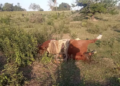 Peão e cavalo são encontrados mortos, após saírem para o campo durante tempestade