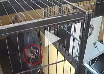 Acusado de matar a mulher que fugiu apontando arma pra policiais é recapturado no interior
