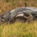 Por causa da chuva, carro sai da BR-376 e acaba ferindo família com criança de 3 anos