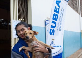 Feira de adoção de cães e gatos acontece no Sarau Cultural no sábado