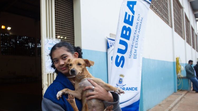Feira de adoção de cães e gatos acontece no Sarau Cultural no sábado