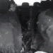 Vídeo: Ladrão quebra vidro e tenta roubar celular de motorista que levava passageira a destino