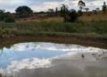 Menino de dois anos morre afogado em açude quando família cuidava do gado