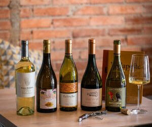 Maior feira de vinhos da América do Sul volta a ter edição presencial no Brasil