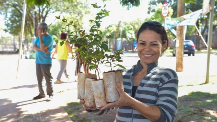 Prefeitura celebra Semana da Árvore com distribuição de 15 mil mudas frutíferas