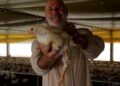Avicultor aplica conhecimento adquirido no curso CADEC Brasil em produção de aves de corte em MS