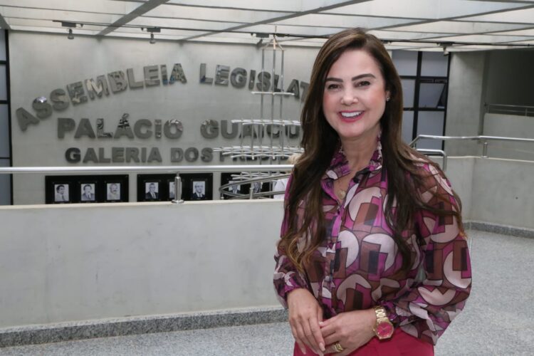 Deputada solicita iluminação pública em trecho da BR-163 em Eldorado