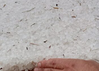 Vídeo: Temporal com granizo derruba árvores, estruturas metálicas e assusta no interior de MS