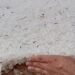 Vídeo: Temporal com granizo derruba árvores, estruturas metálicas e assusta no interior de MS
