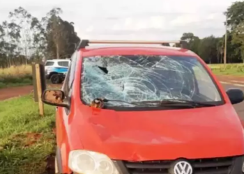 Idoso entra na frente de carro, é atropelado e morre na MS-395