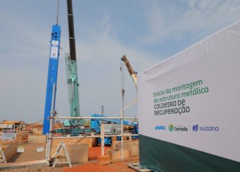 MS- 45 anos: “Dos celeiros de fartura” brotam indústrias modernas e com pegada de sustentabilidade