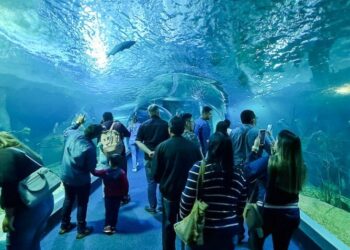 Dias antes, Bioparque Pantanal fecha para abrir especialmente sem agendamento no Dia das Crianças