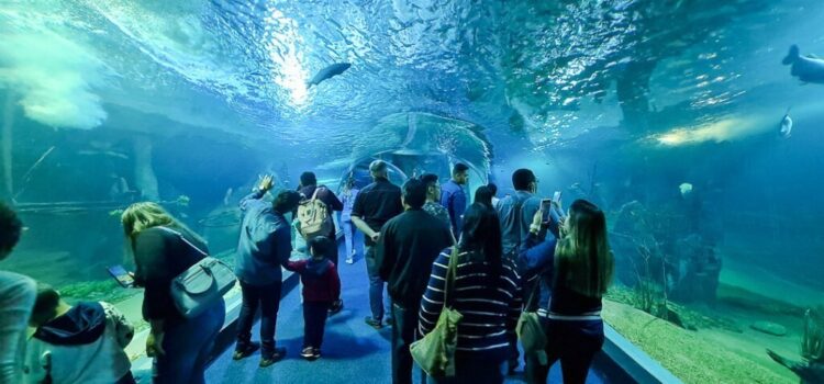 Dias antes, Bioparque Pantanal fecha para abrir especialmente sem agendamento no Dia das Crianças