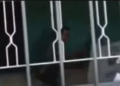 Vídeo: Homem quebra urna a pauladas em colégio eleitoral de Goiás