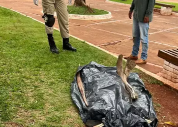 População encontra corpo de homem em praça central de cidade do interior de MS