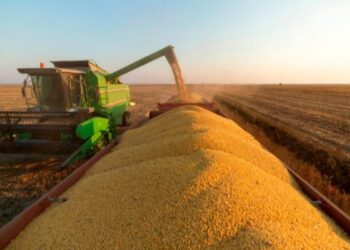Seca nos EUA pode dar mais força aos produtores de soja brasileiros