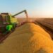 Seca nos EUA pode dar mais força aos produtores de soja brasileiros