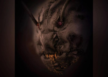 Foto de formiga ampliada causa temor em internautas pelo mundo