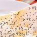 Receitas: Prato típico nordestino, tapioca está presente de norte a sul do Brasil