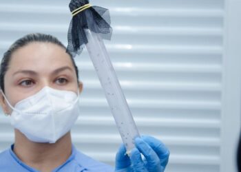 Estudo internacional reforça eficácia de método implantado na Capital no controle da Dengue