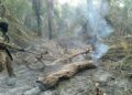 Bombeiros conseguem controlar fogo que atravessou fronteira e ameaçava reserva indígena no Pantanal