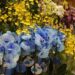 Dia dos Finados: preços das flores apresentam variação de até 500%