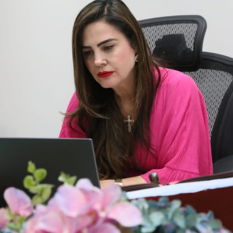 Iguatemi e Eldorado: Deputada Mara Caseiro solicita recuperação asfáltica na MS-295