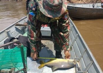 Piracema está valendo desde à zero hora deste sábado com fiscalizações da PMA e Imasul