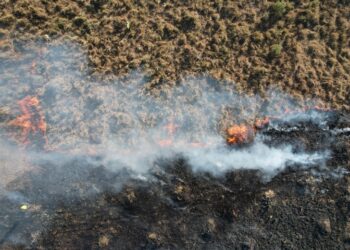 Curso online sobre monitoramento de fogo no Pantanal está com inscrições abertas