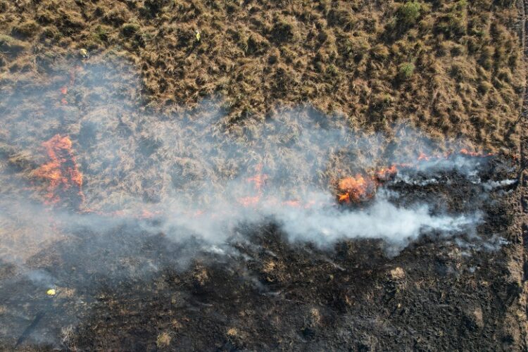 Curso online sobre monitoramento de fogo no Pantanal está com inscrições abertas