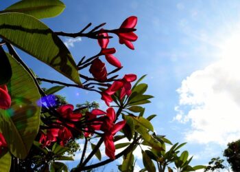 Tempo seco, sol forte e temperaturas em elevação são destaques do final de semana