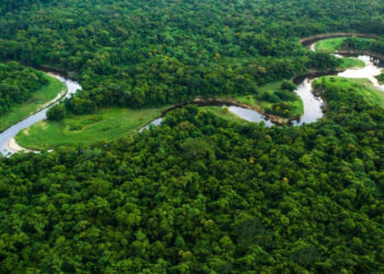 Nelsinho Trad destina R$ 50 milhões para o Rio Taquari; o assoreamento do curso de água do Pantanal ganha destaque na Cop-27 no Egito