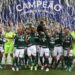 América vence o Internacional e o Palmeiras é campeão brasileiro