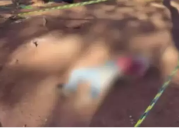 Irmãos seguram, esfaqueiam e matam jovem identificado como Reginaldo Colman