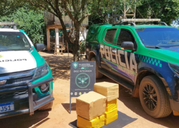 Pedagoga gaúcha é presa com Peugeot roubado no RS e quase 100 kg de maconha