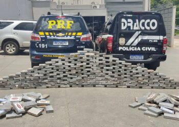 Polícias prendem 2 com mais de 300kg de cocaína em caminhão de energia solar