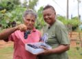Com a orientação técnica do Senar/MS, produtores rurais de Rochedo investem no cultivo da uva no estado
