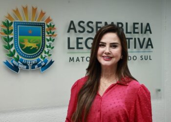 Para prevenir violência contra as mulheres, deputada solicita aumento do efetivo policial no interior