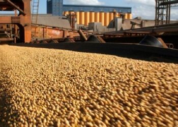 Produtos do agronegócio responderam por 90% das exportações de MS