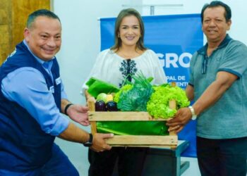 Programa Alimenta Brasil dobra valor pago aos produtores e total de alimentos comprados