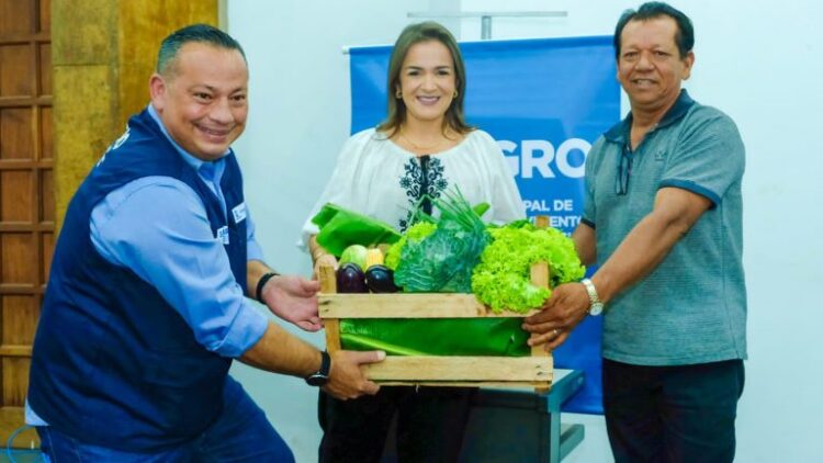 Programa Alimenta Brasil dobra valor pago aos produtores e total de alimentos comprados