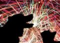 Fogos de artifício são inimigo número 1 dos cães, diz especialista
