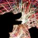 Fogos de artifício são inimigo número 1 dos cães, diz especialista